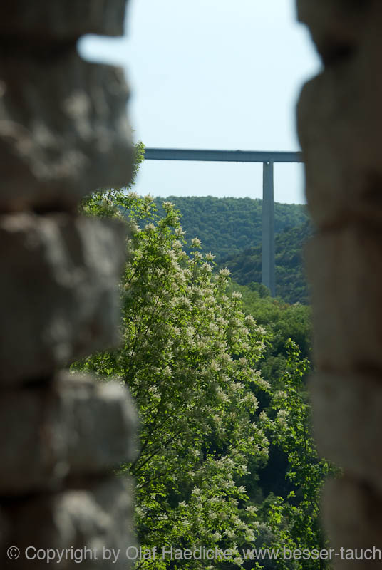 _DSC0510