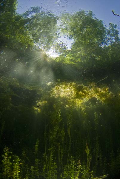 Echinger Weiher