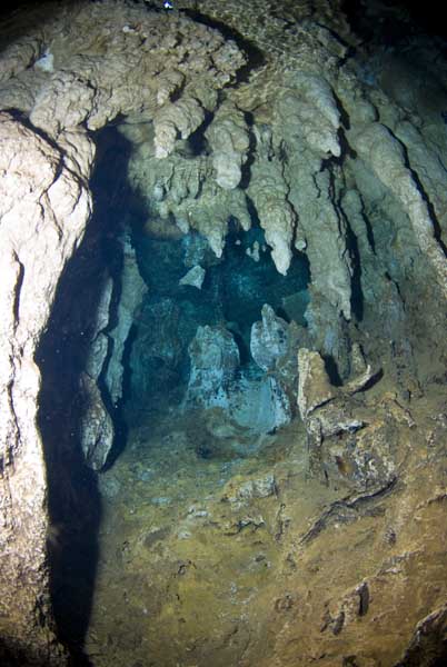 Olaf-Haedicke-Palau