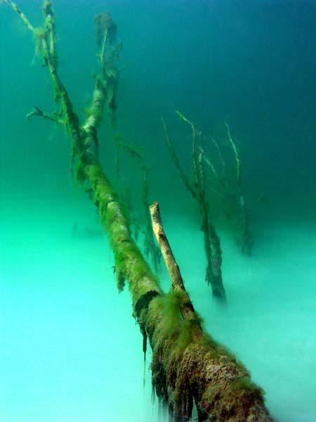 Olaf-Haedicke-Suesswasser