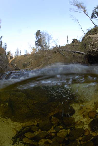 Olaf-Haedicke-Suesswasser